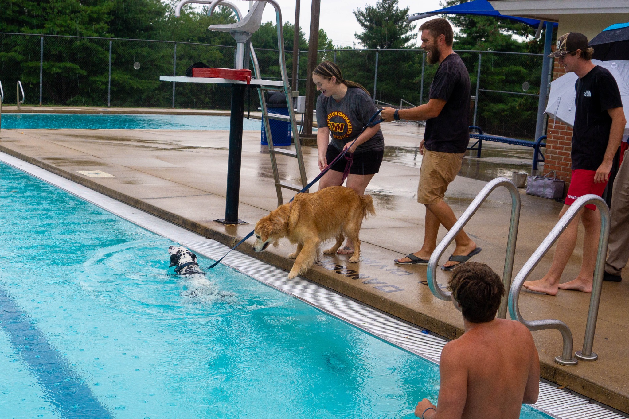 Humane Society of Washington County | Hagerstown MD