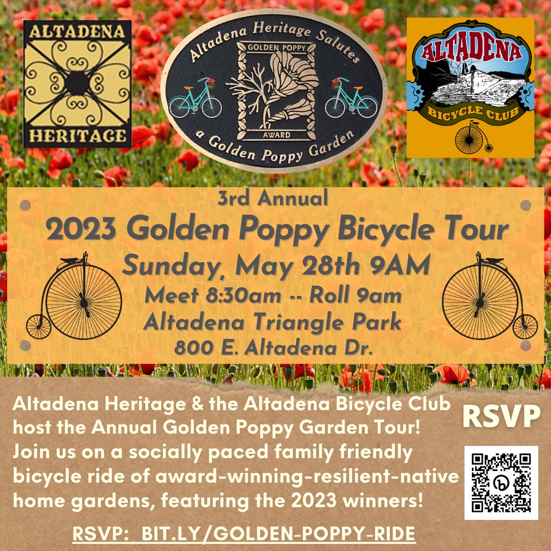 Pasadena Women Riders | Pasadena CA