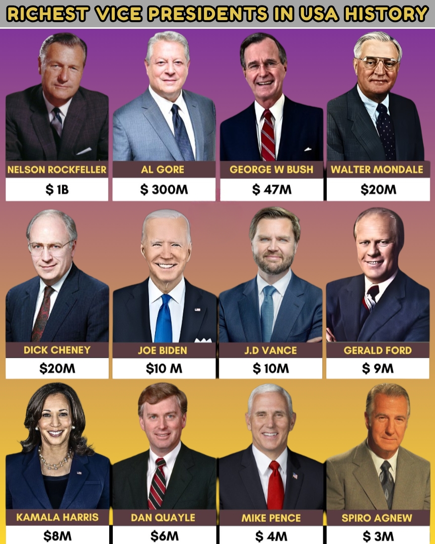 The Daily - RICHEST VICE PRESIDENTS IN USA HISTORY | Facebook