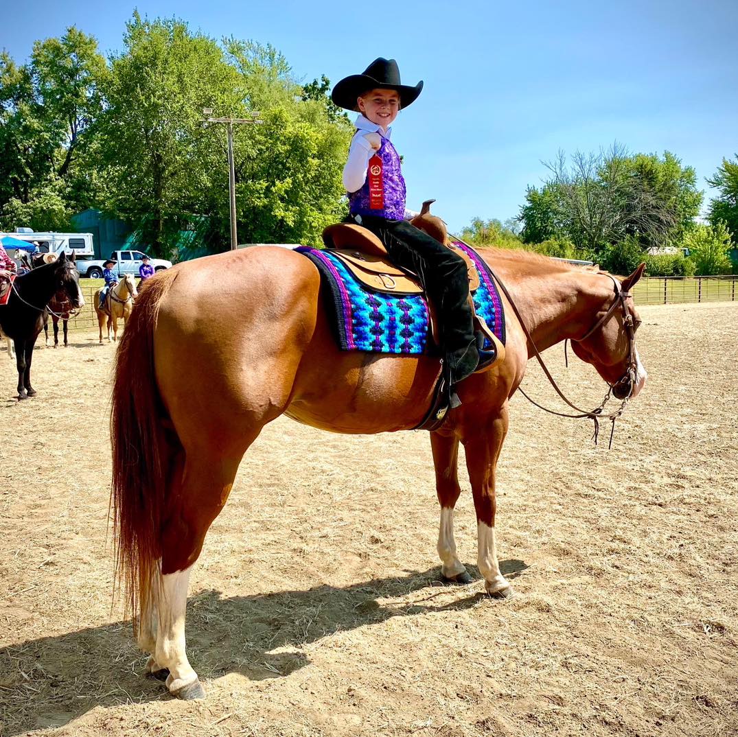 Hi-Point Performance Horses | Odessa MO