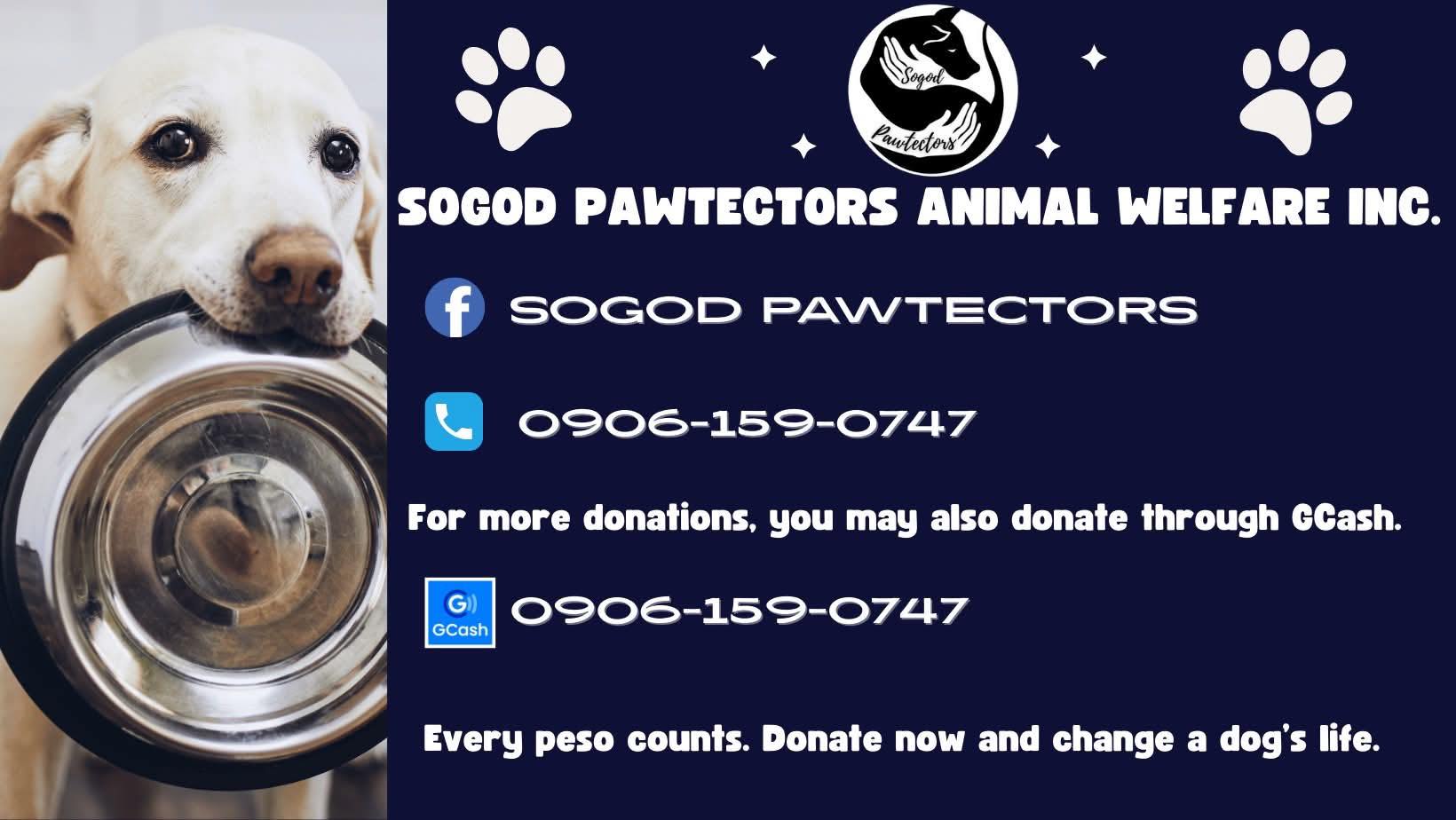 Sogod Pawtectors | Sogod