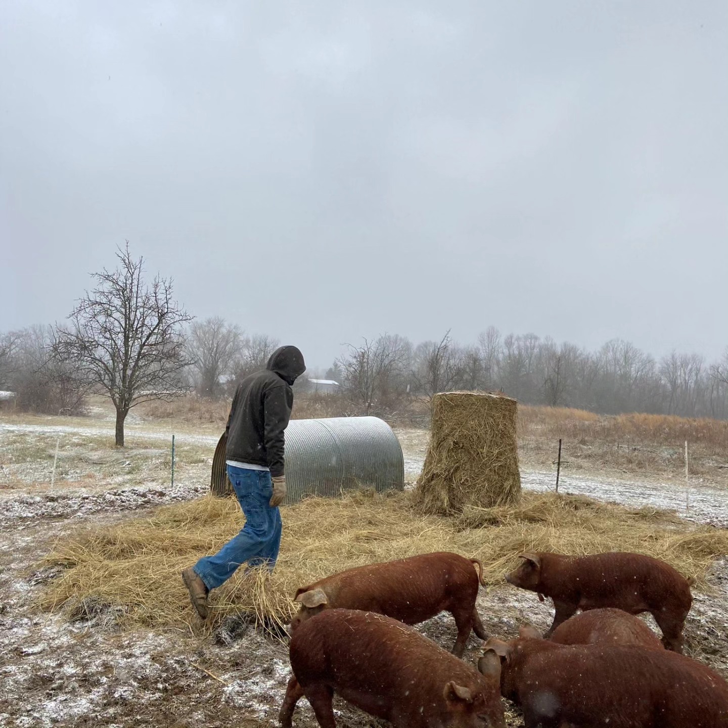 Autumn Ridge Farm - So IL