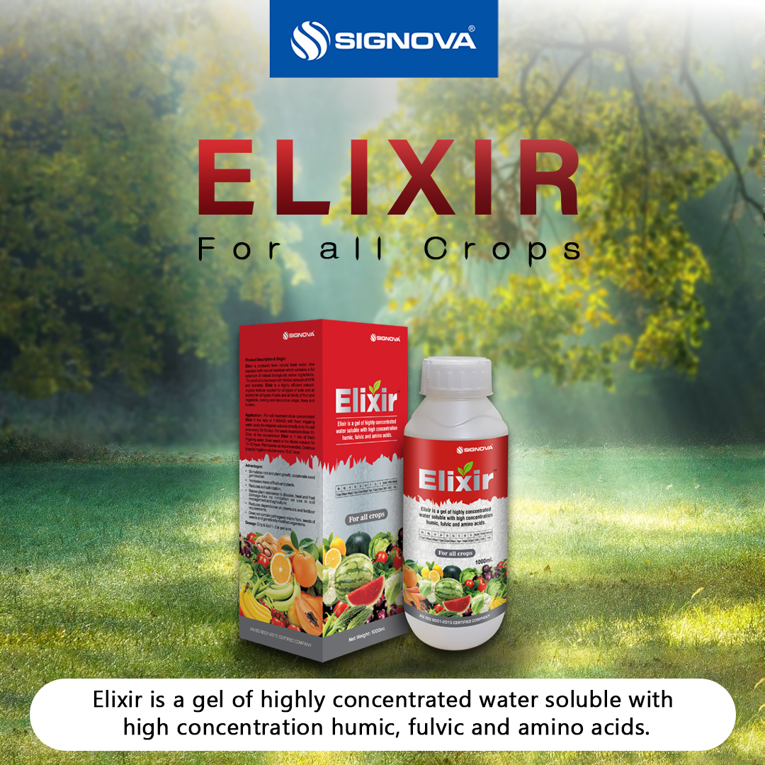 Signova - Elixir is the sapropel found in the surface of... | Facebook