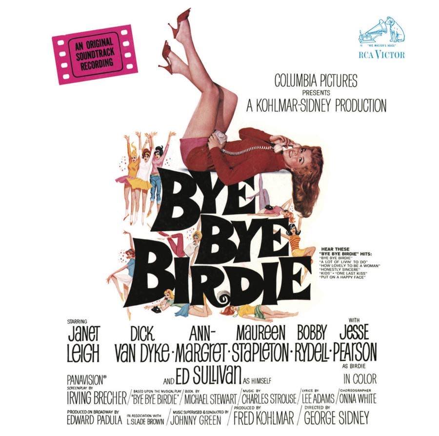 Bye Bye Birdie 1963 musical with Dick Van Dyke