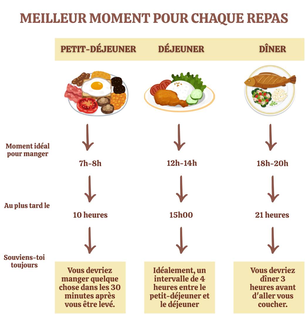 Mamie - 🕒 Respecter le rythme circadien pour bien manger au bon moment ...
