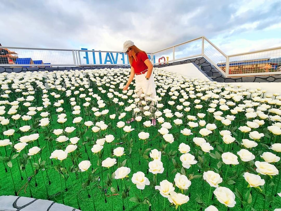 Lighting of 5,000 roses at... - Discover Antique, Philippines | Facebook