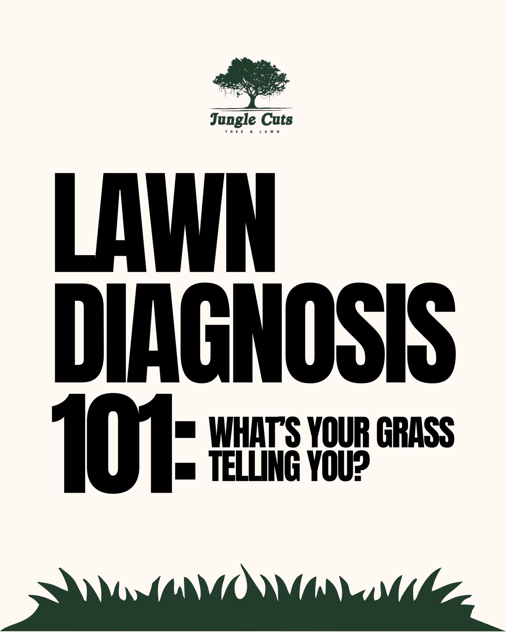 Jungle - Your lawn gives little warning signs when something’s off ...