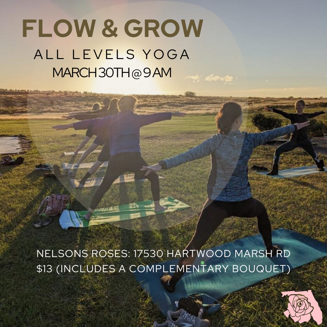 Nelson's Florida Roses | Winter Garden FL