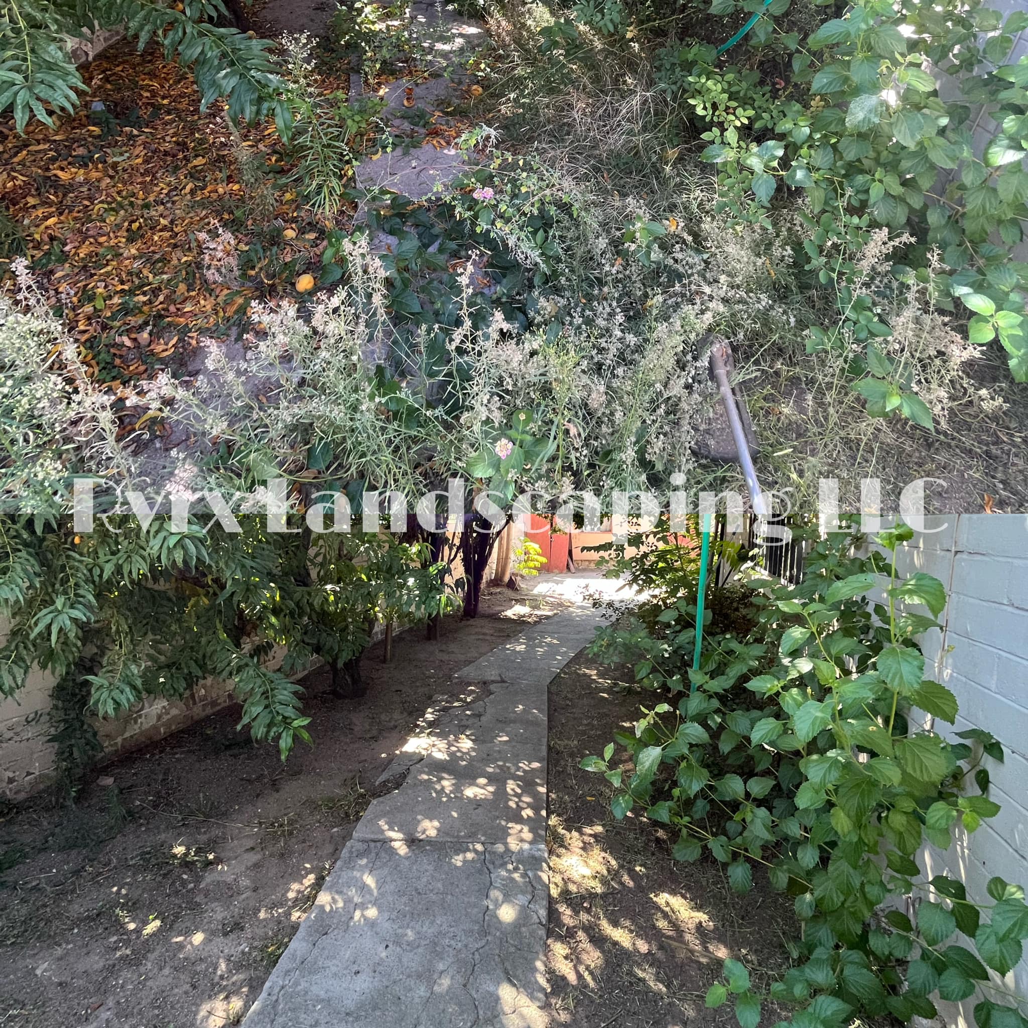 Rvrx Landscaping | Rio Rico AZ