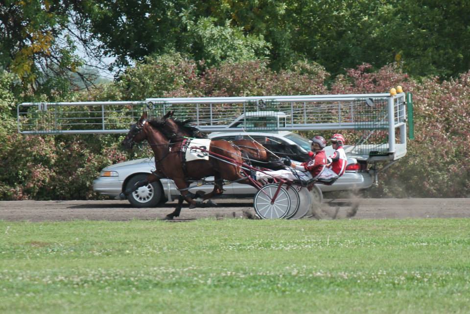Minnesota Harness Racing, Inc - Gotalilcaptaininme and Say It Aint So ...
