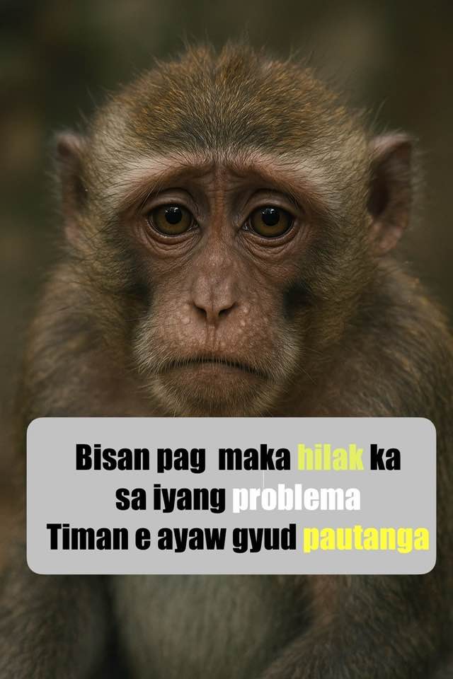 Tarinang Lapulapu