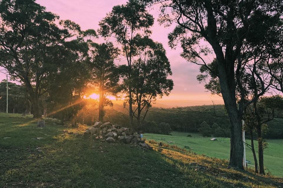 Martins Ridge Farm | Conjola NSW