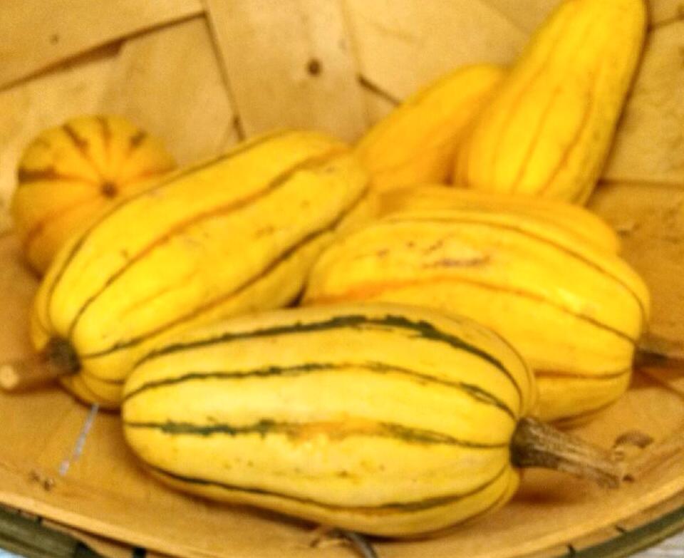 Hahn Farm - How well do you know your squash? Celebrate...