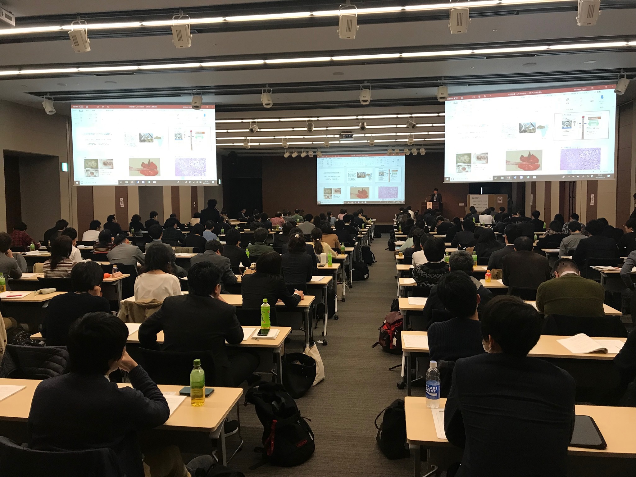 日本獣医エキゾチック動物学会