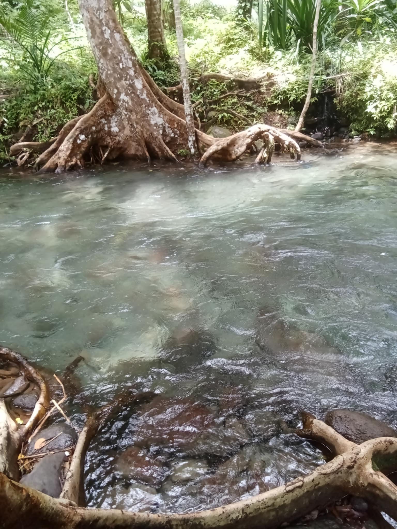 Kipot Sa Pilipinas