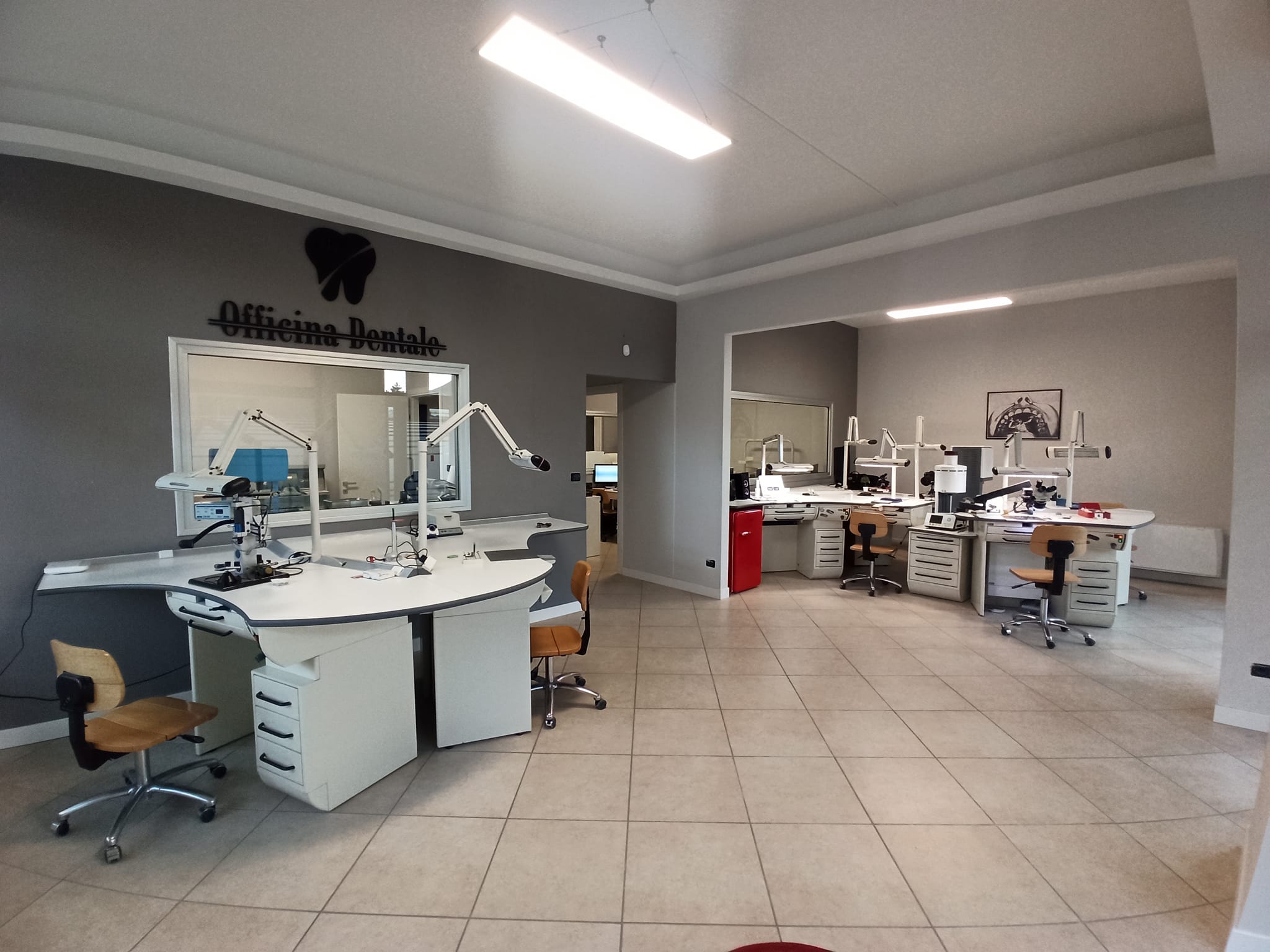 Baumann Articolatori e Gessatore - Orbel Dental