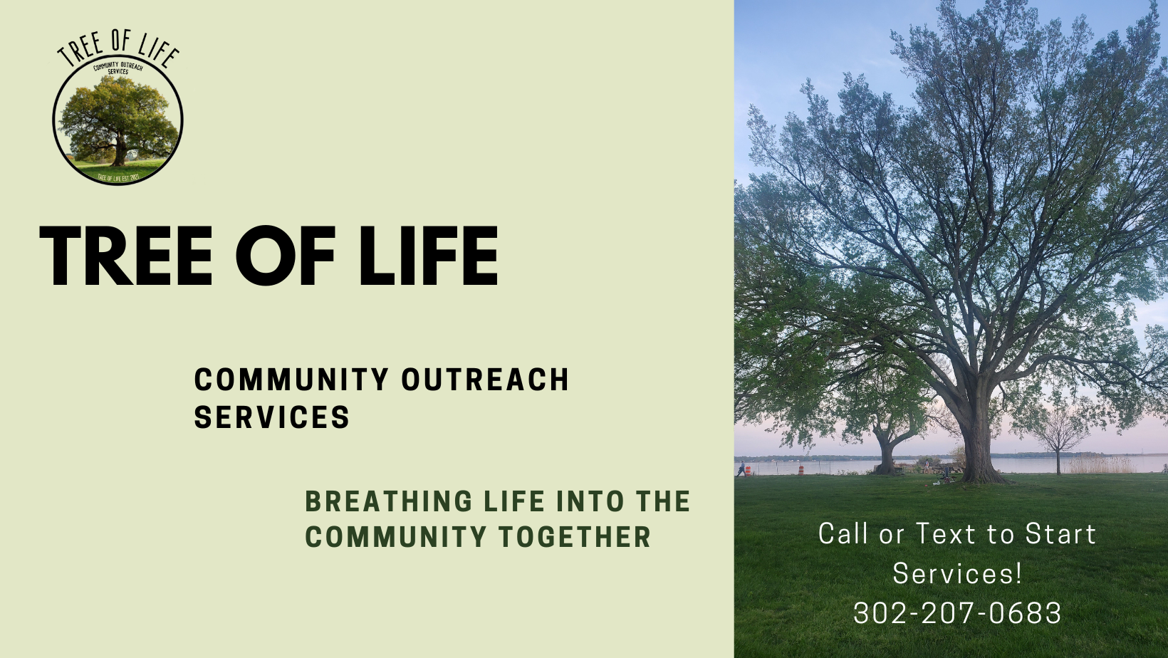 Tree of Life Community Outreach Services