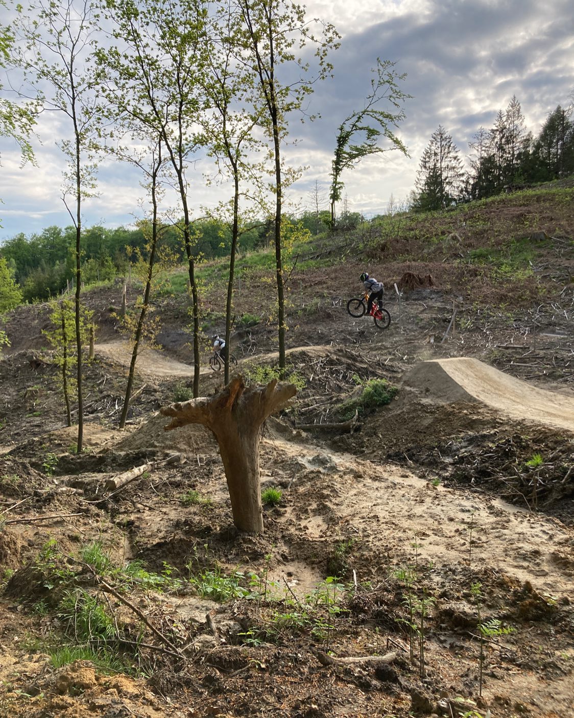 green gizmo pedal PERSIAN SCREAMER (OC-PGSn) – One Control USA Mountain bike loop Fuerth City E-Bikes Tiefeinsteiger The Green Russian Big Style:EQUUS