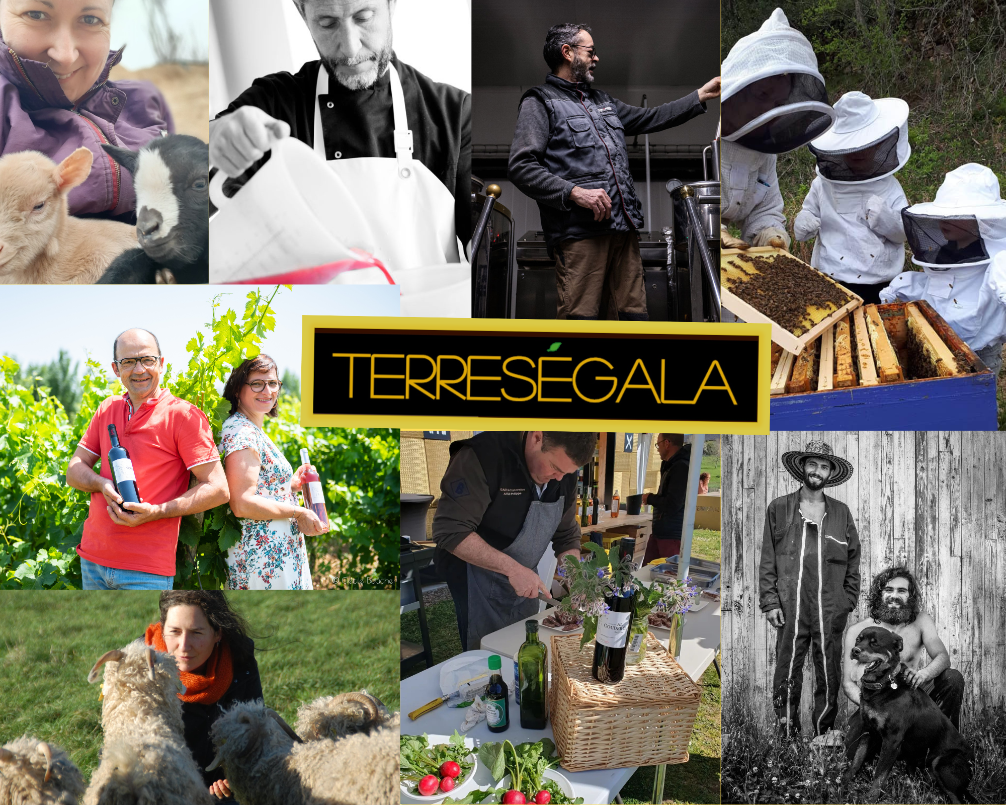 Terre Segala | Naucelle