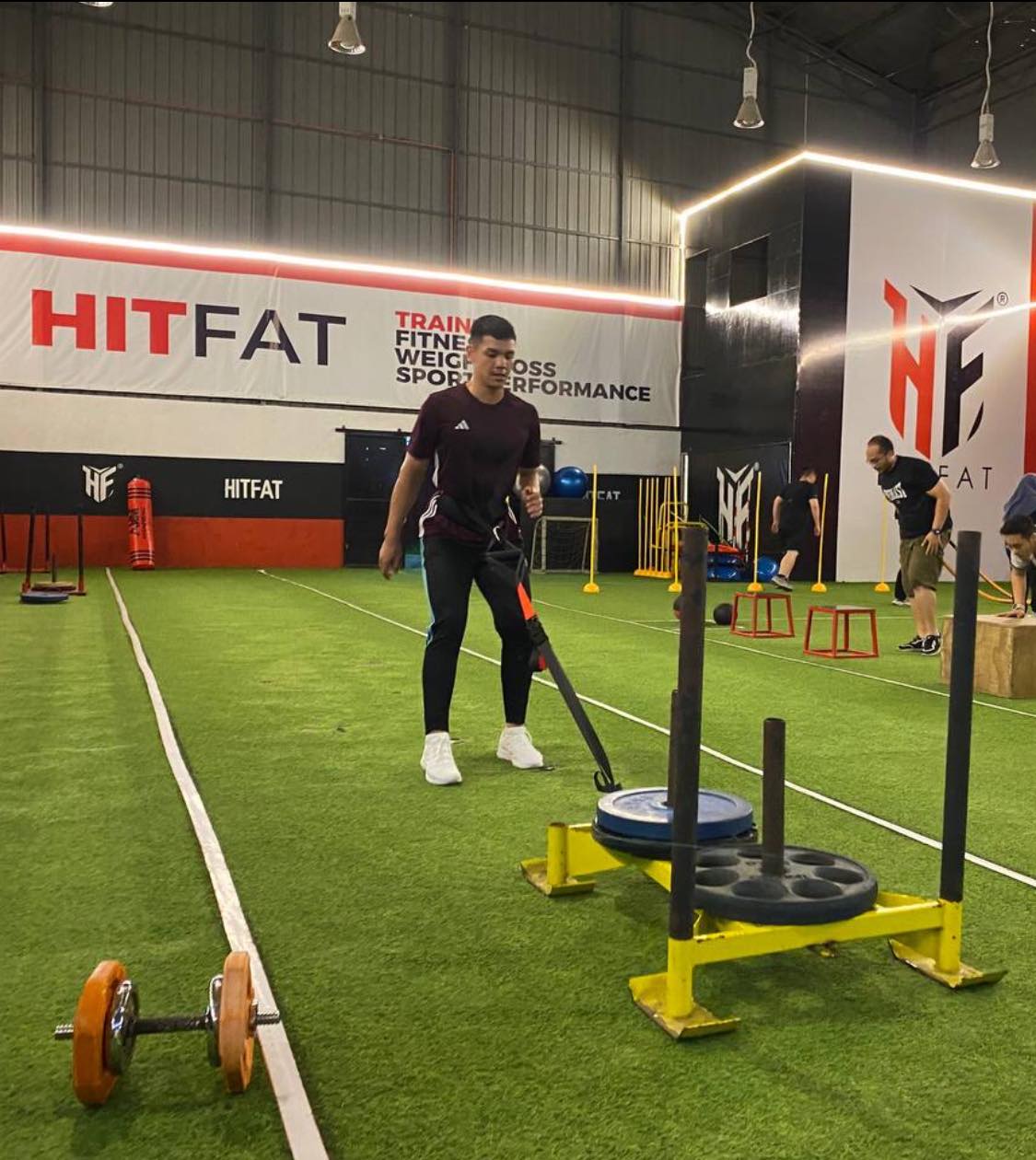 Seth Hitfat - 🌟 Training Spotlight: Sled Pull utk... | Facebook
