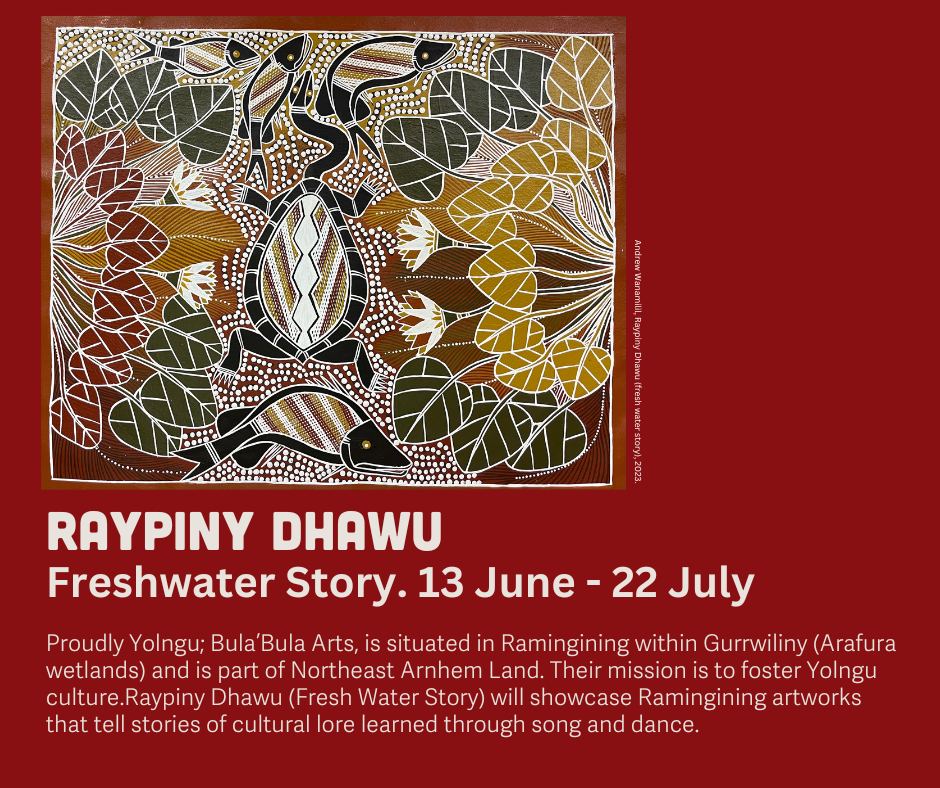 New Exhibition - Tuesday:... - Aboriginal Bush Traders