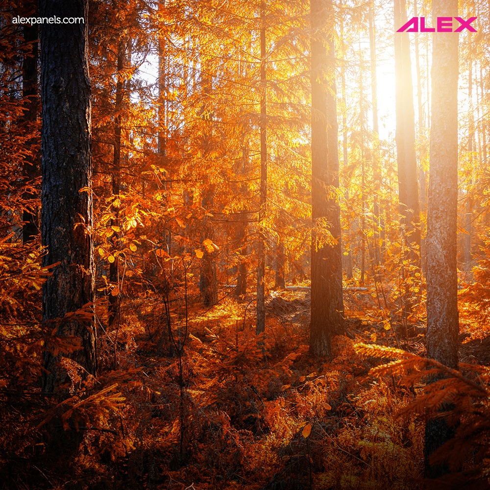 Alex Panels - With Alex's Zero-maintenance, Fade-proof ACP Louvers ...
