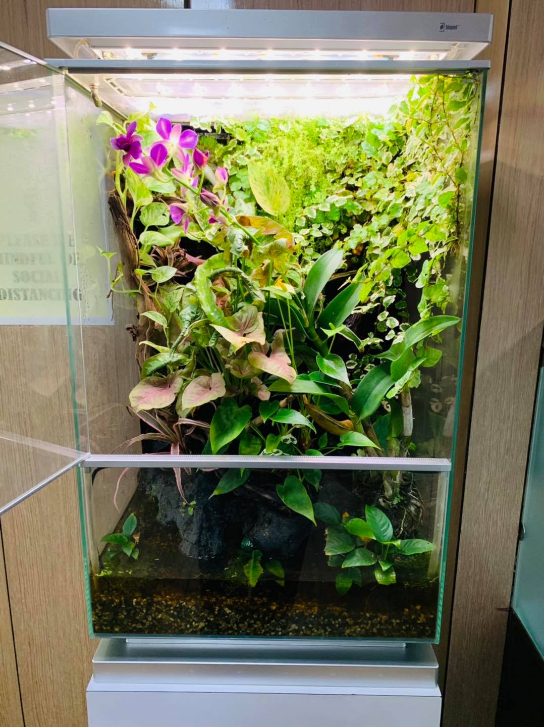 Biopod Smart Microhabitat