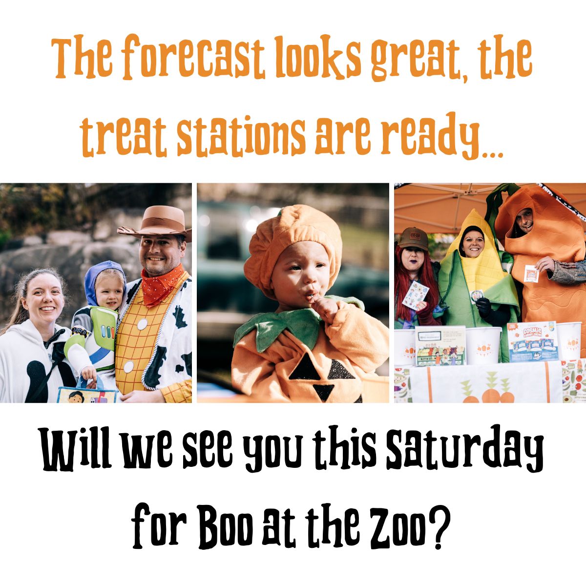 Tomorrow kicks off Boo at the Zoo!... - Lake Superior Zoo | Facebook