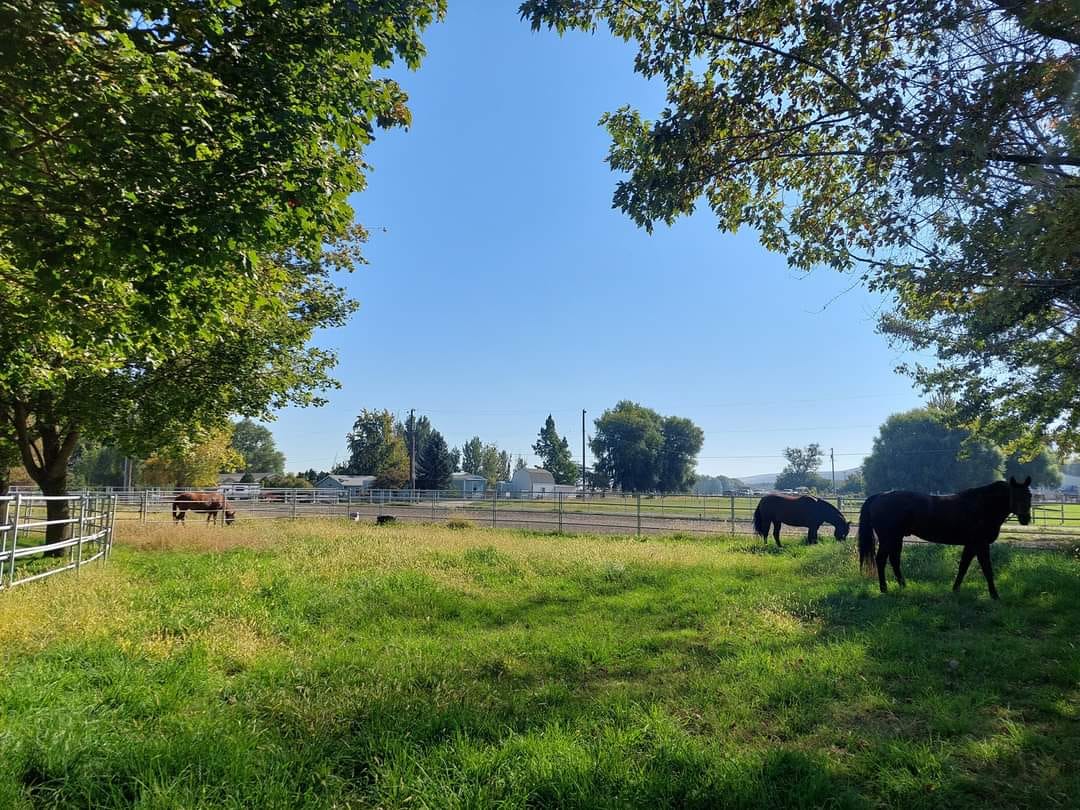 T4 Ranch | Finley WA