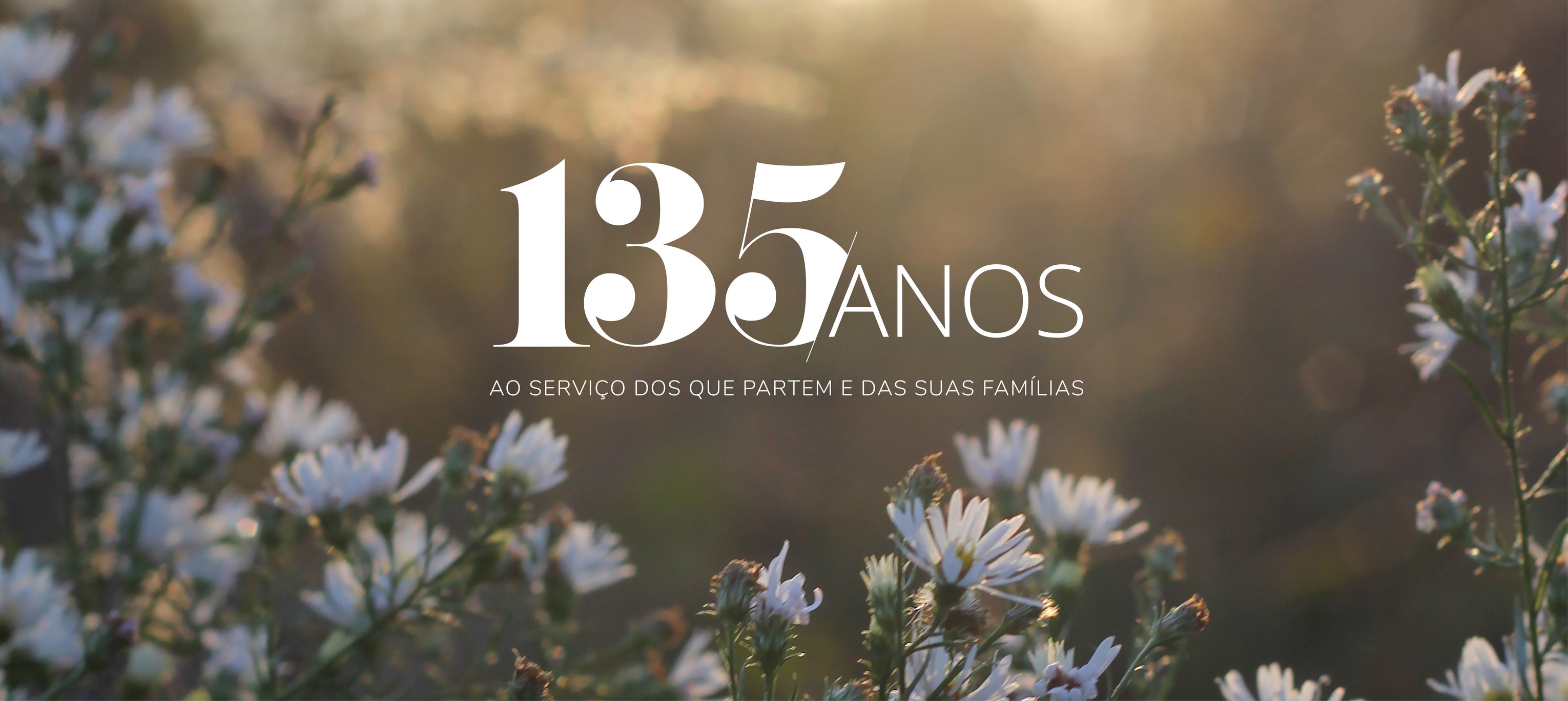 Organização Campo das Oliveiras... - Campo das Oliveiras | Facebook
