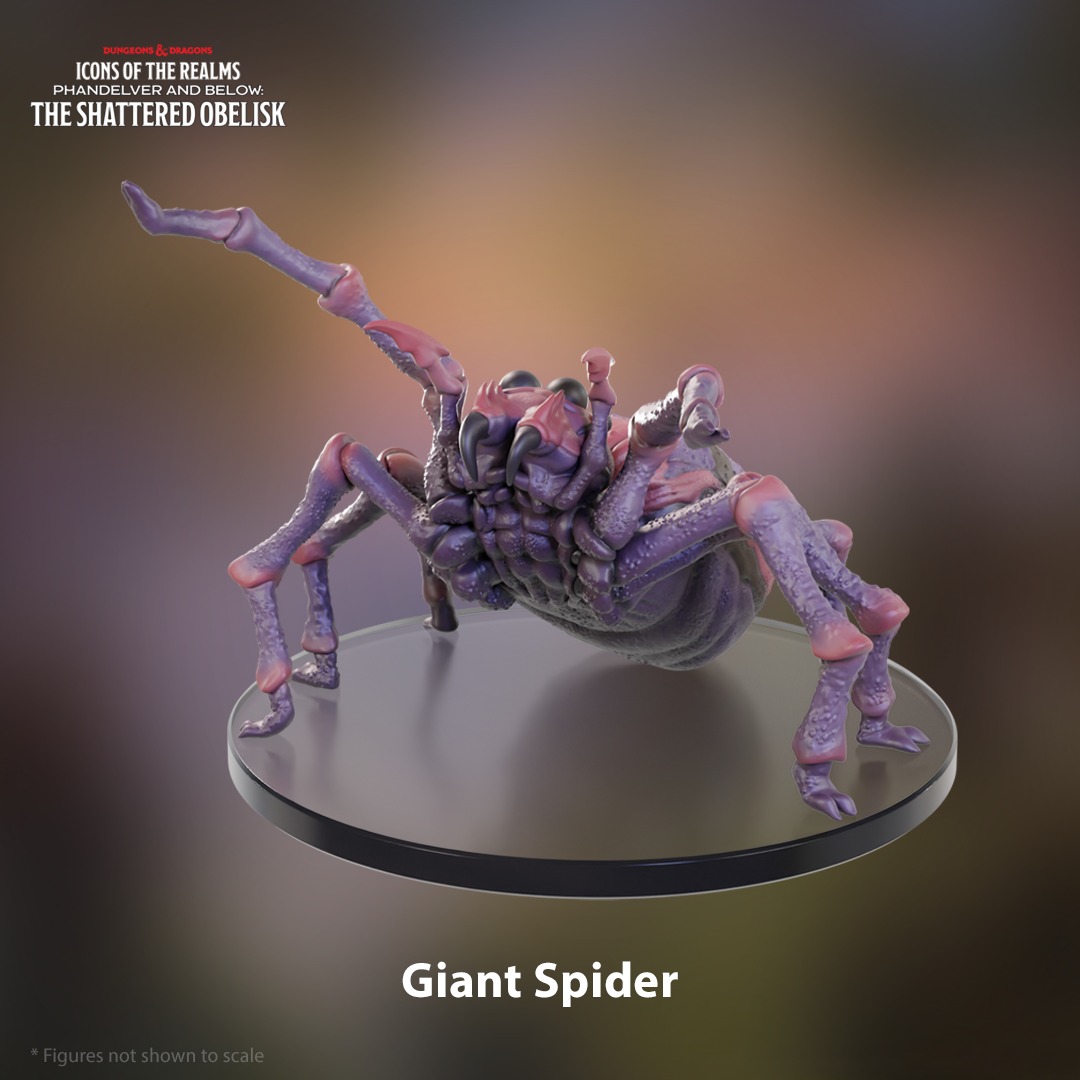🕷️🕷️ Find the Giant Spider and Nezznar, the Spider the D&D