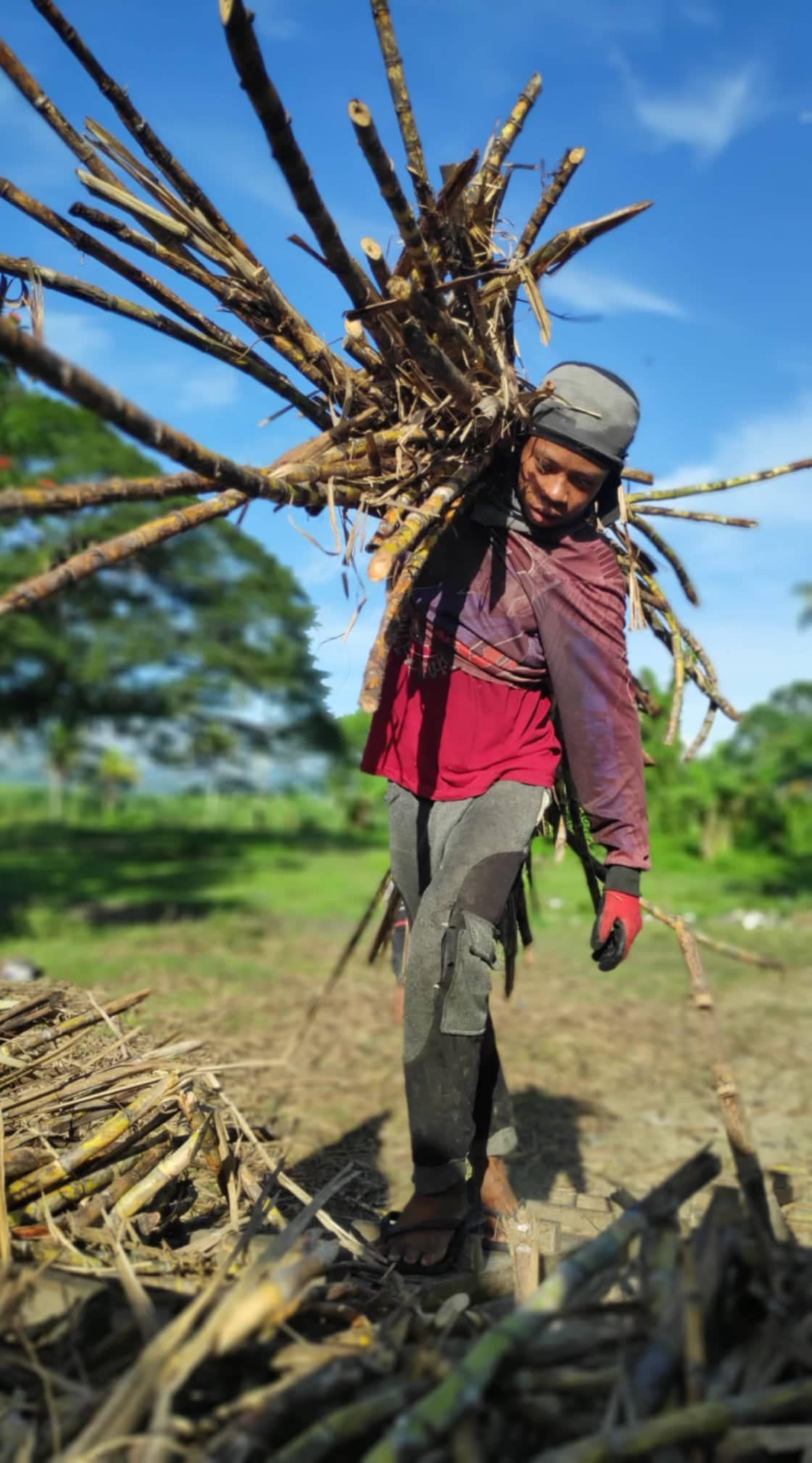 Kilusang - The failure of land Reform in Negros: From Marcos Sr. to ...