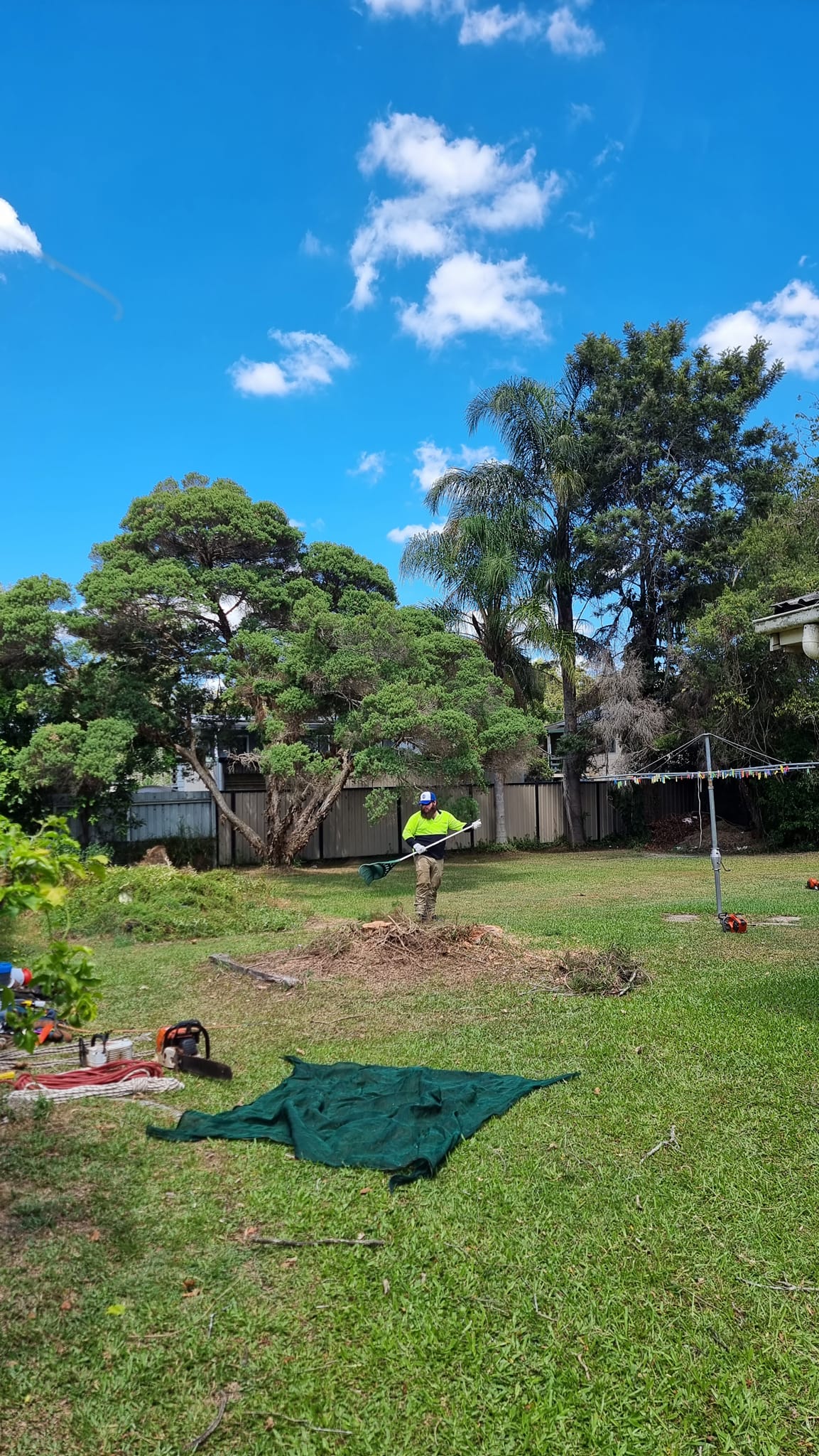 SafeWay Tree Service | Brisbane QLD