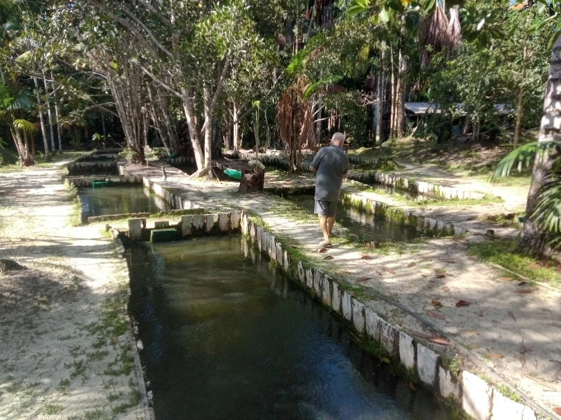 Tabatinga Aquarium