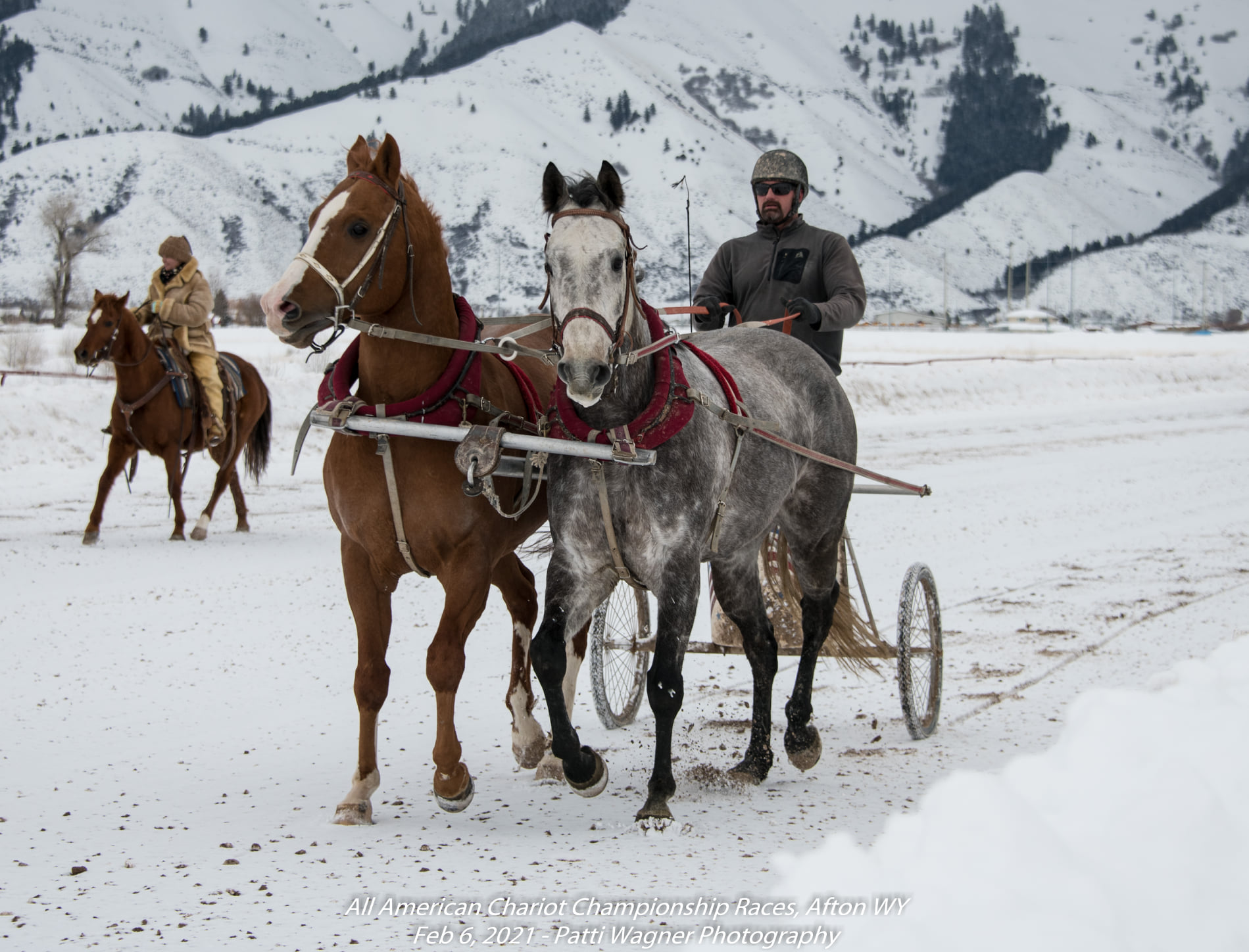 Well, this... - All American Cutter/Chariot Races - Afton, WY | Facebook