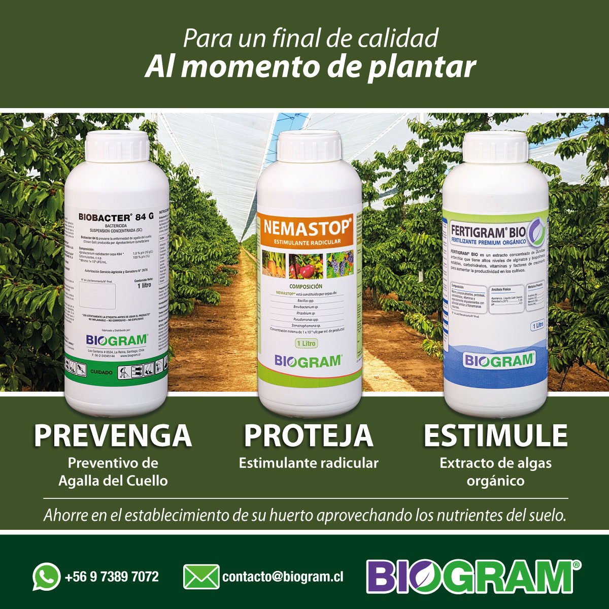 BIOGRAM S.A. | La Reina