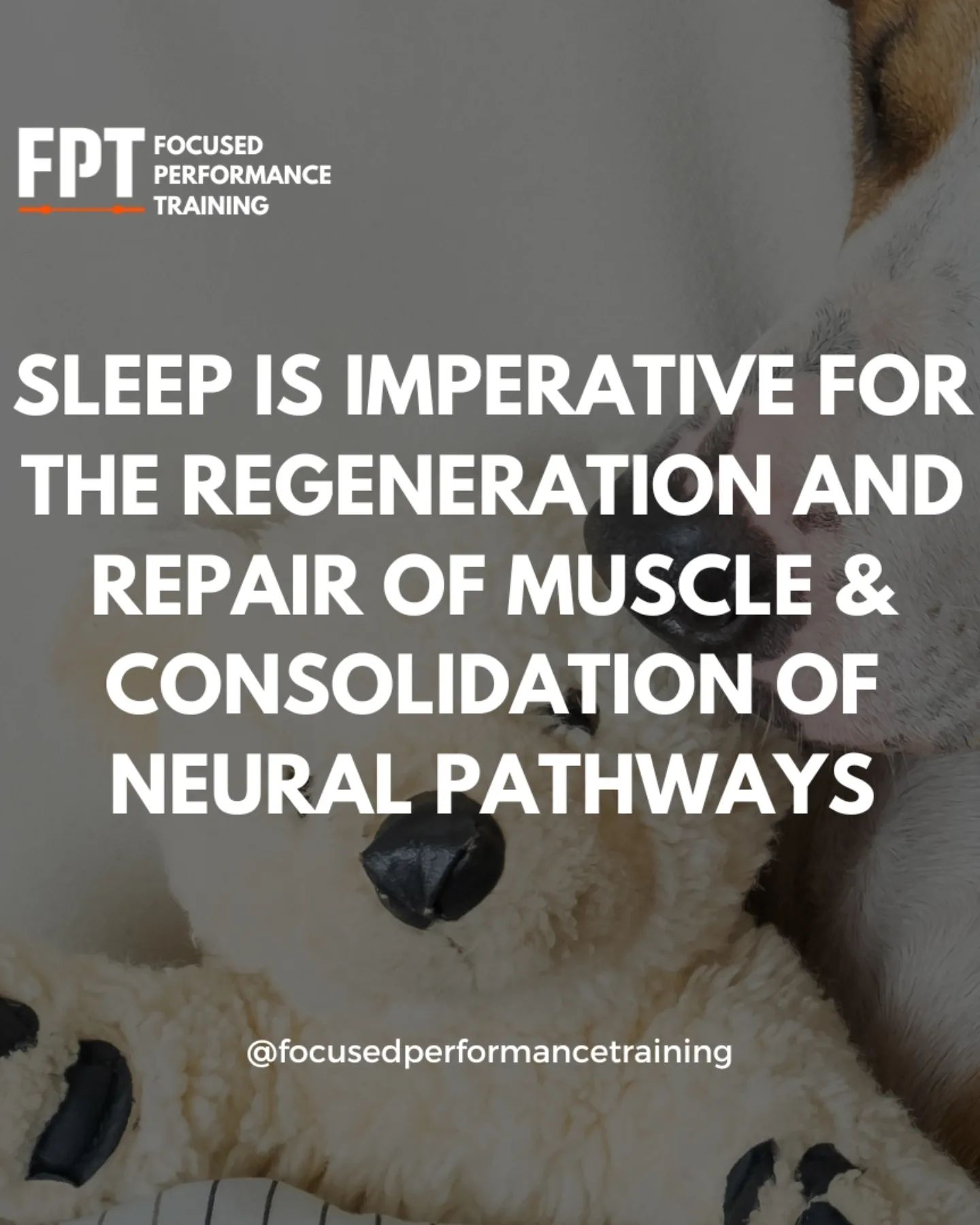 Focused Performance Training