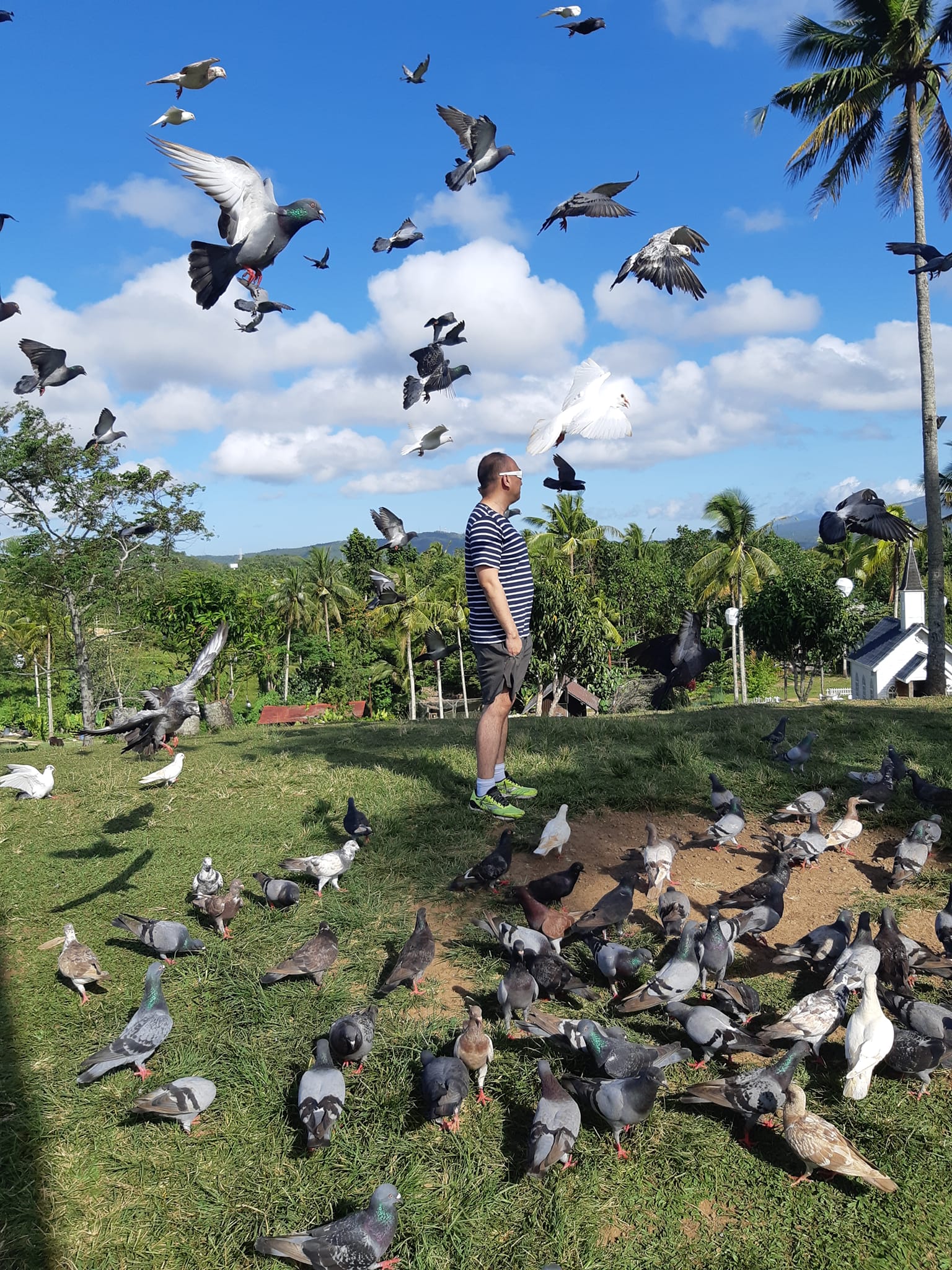Casa Amadeo Aviary