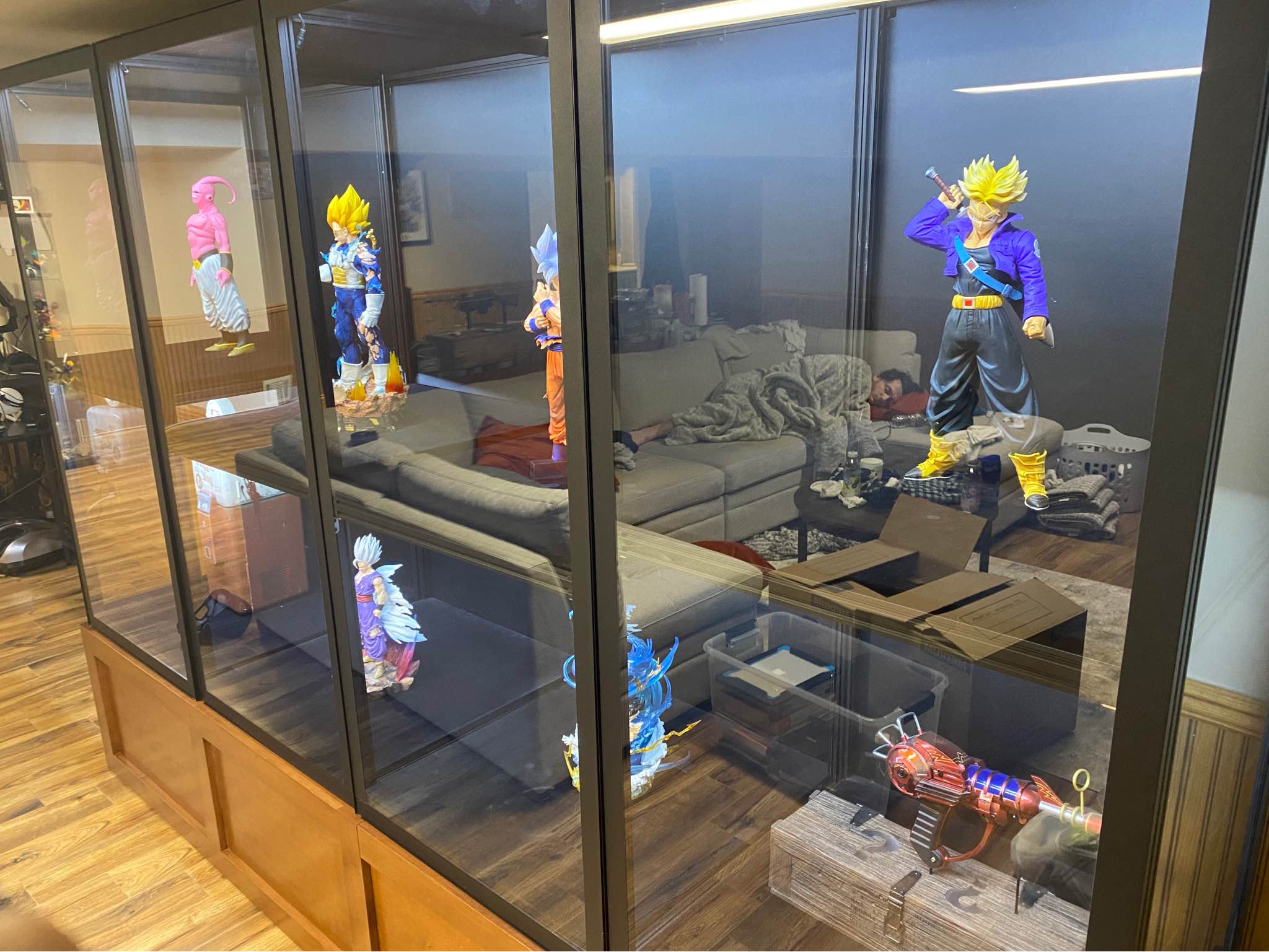 Moducase MAX150 Display Case Set – Professionally Assembled – Premium ...