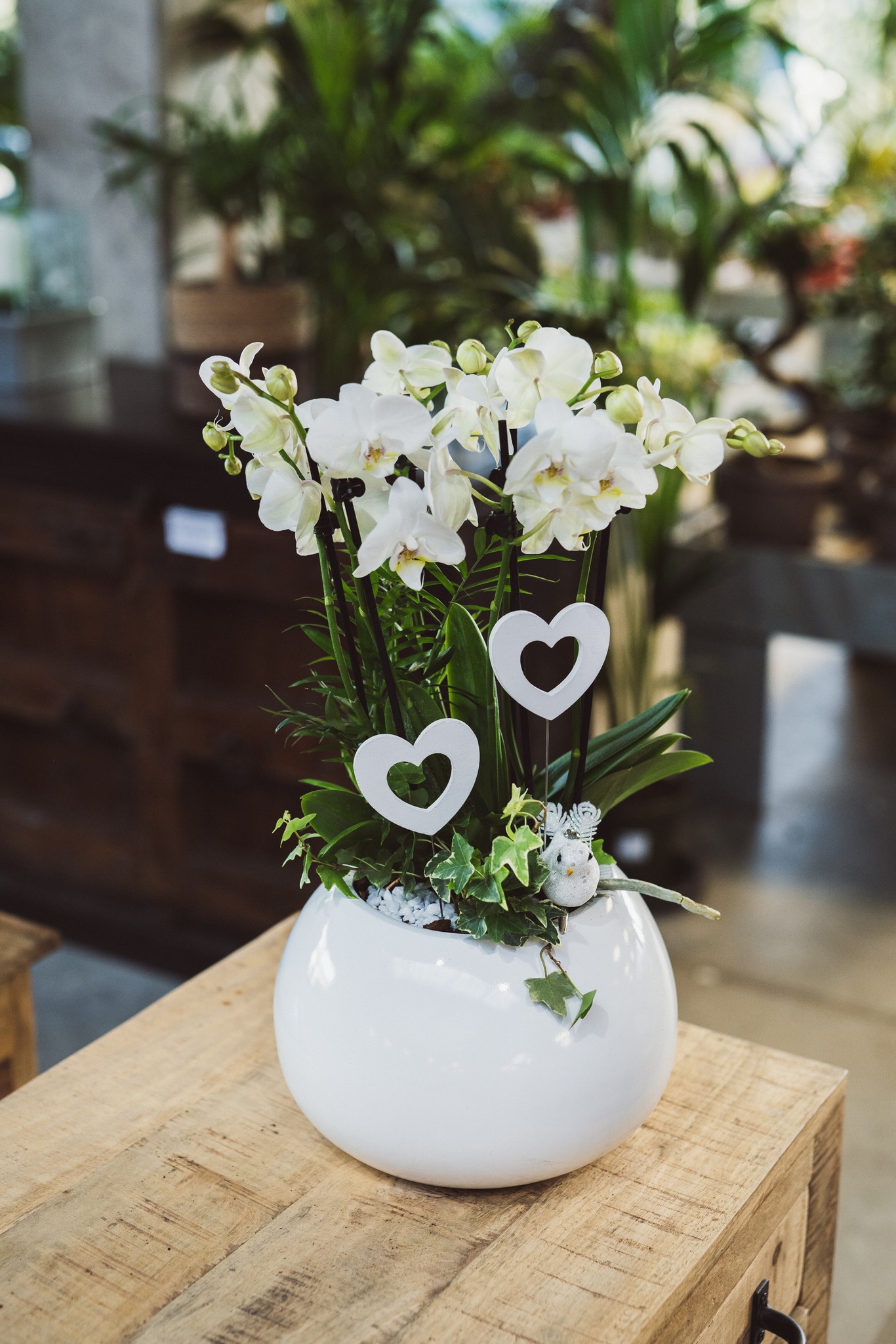 Unsere Orchideen Pflanzschalen werden von uns selbst hergestellt - sie sind besondere Hingucker für dein Zuhause. Wir wählen bei der Bepflanzung als Kombination besonders pflegeleichte und langlebige Pflanzen