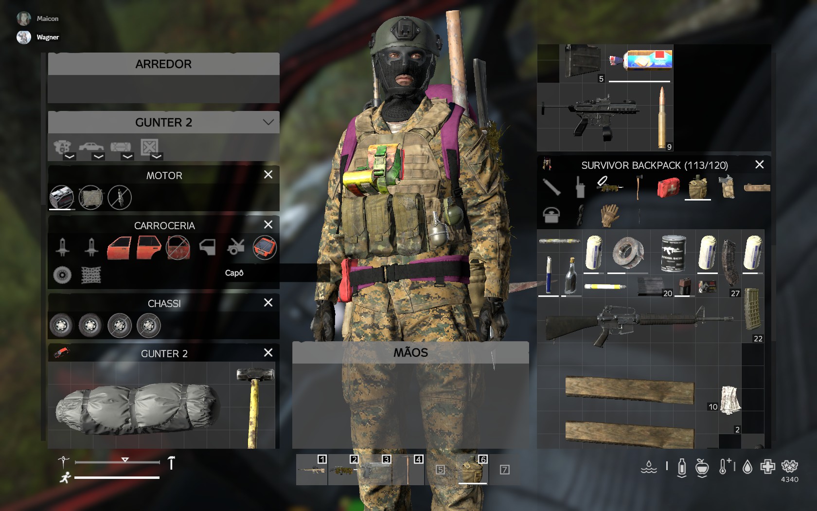 DayZ Standalone Server SAS Brasil