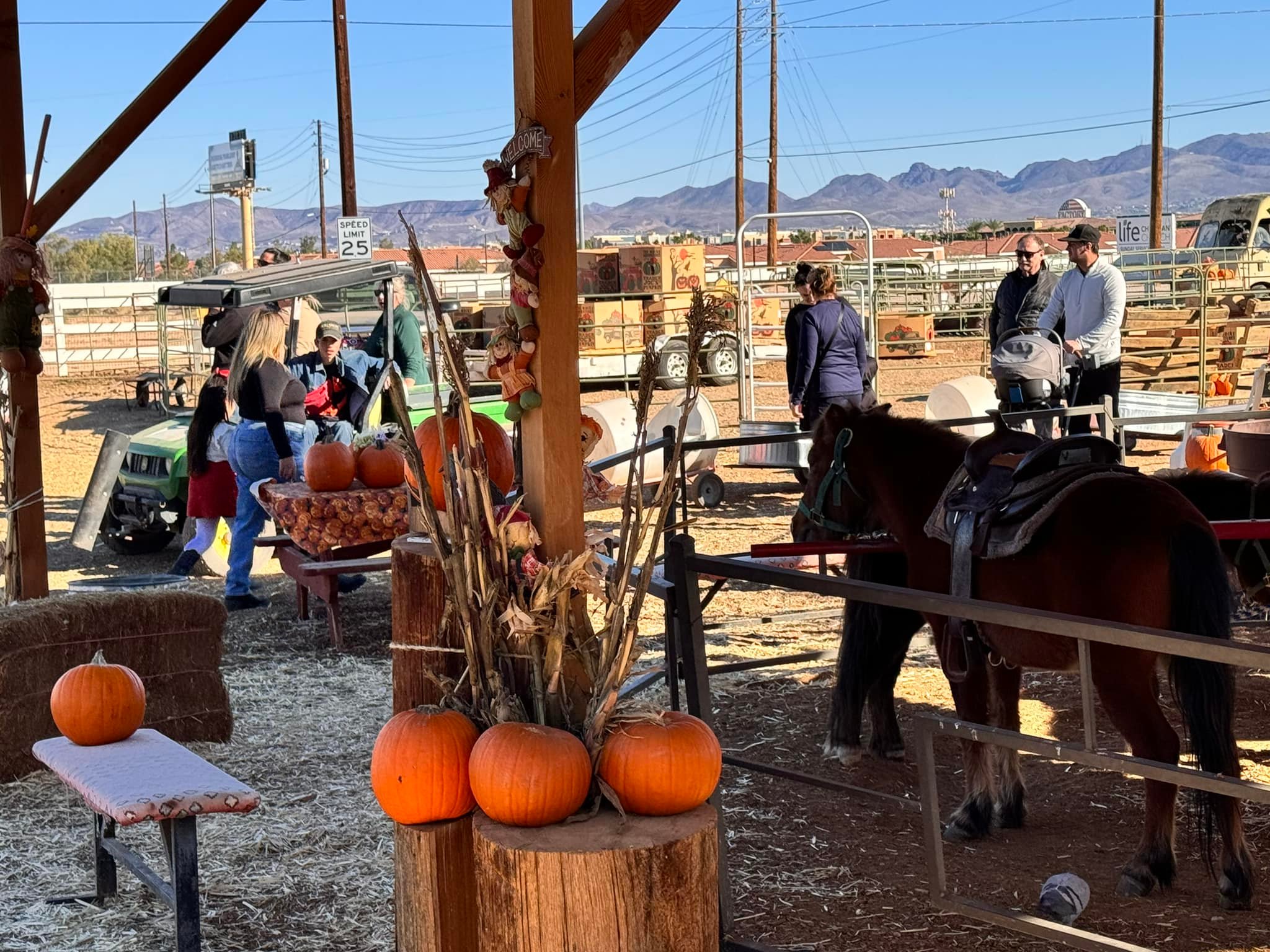 The McKee Ranch Foundation | Enterprise NV