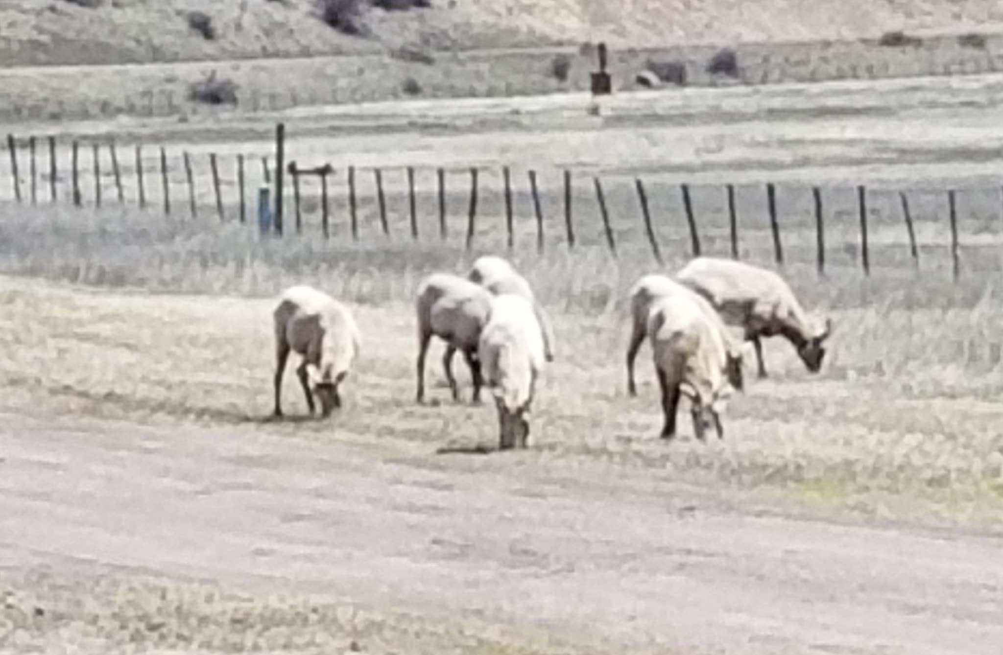 RC Guest Ranch | Creede CO