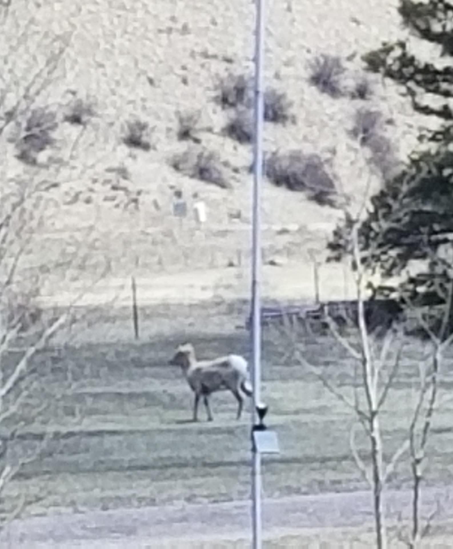 RC Guest Ranch | Creede CO