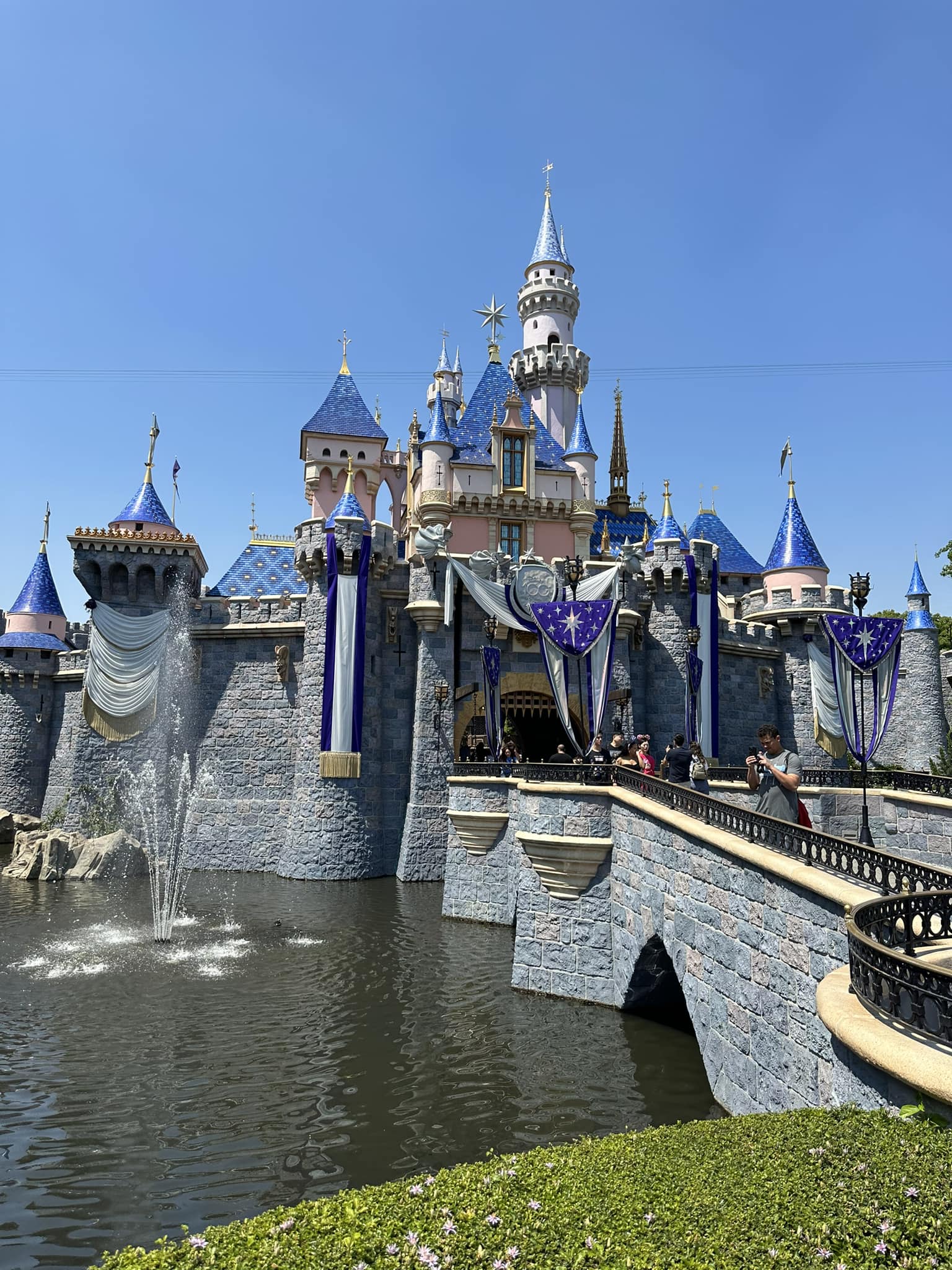 Sleeping Beauty Castle dressed up for Disney 100