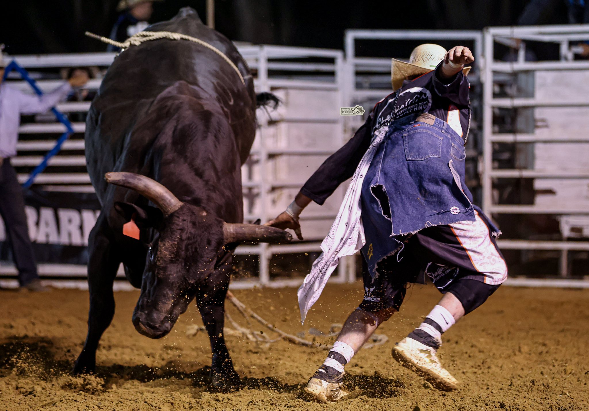 Wild Rodeo Photography by Blake Monroe