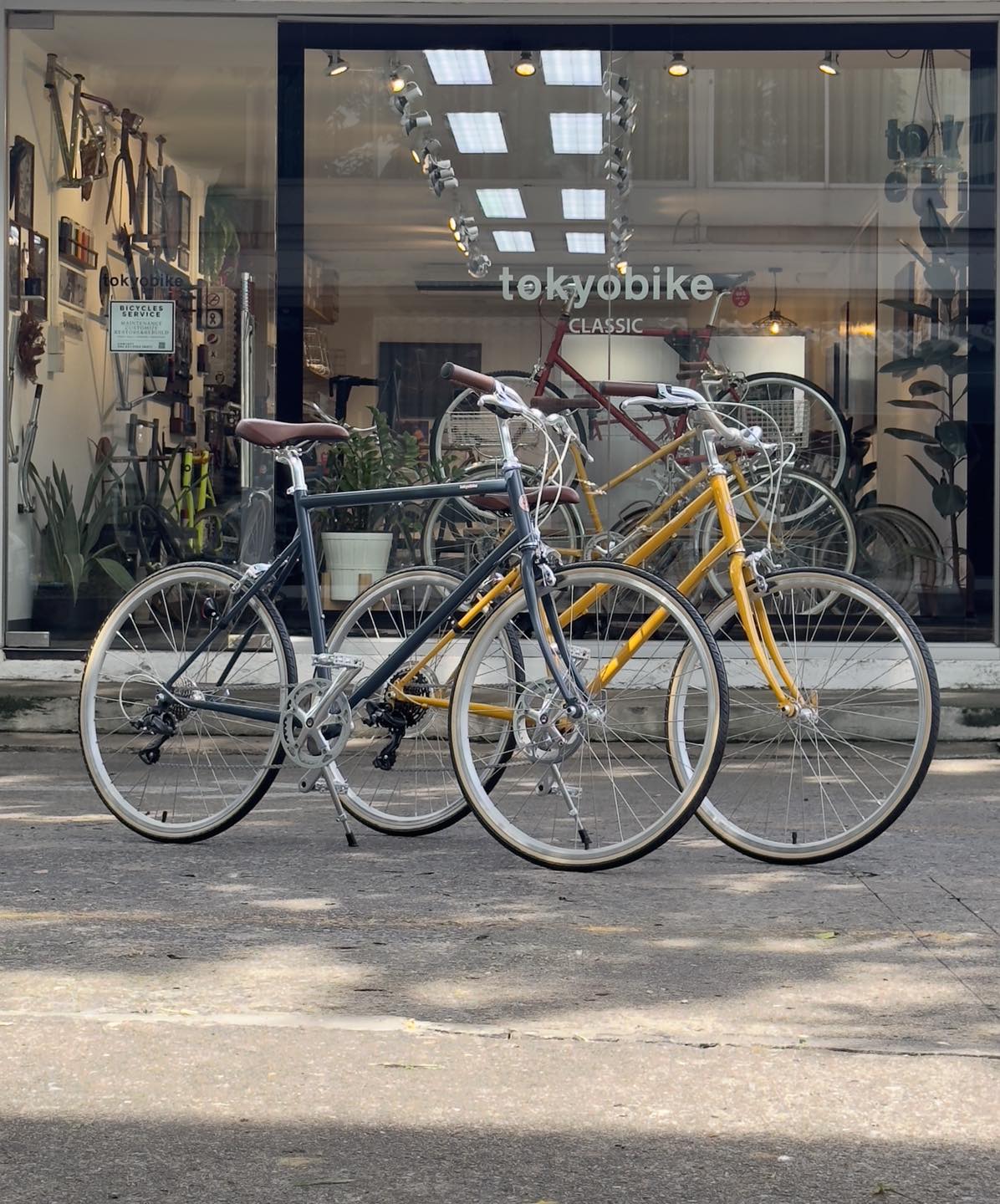 🌤Tokyobike - จักรยาน... - Tokyobike Thailand
