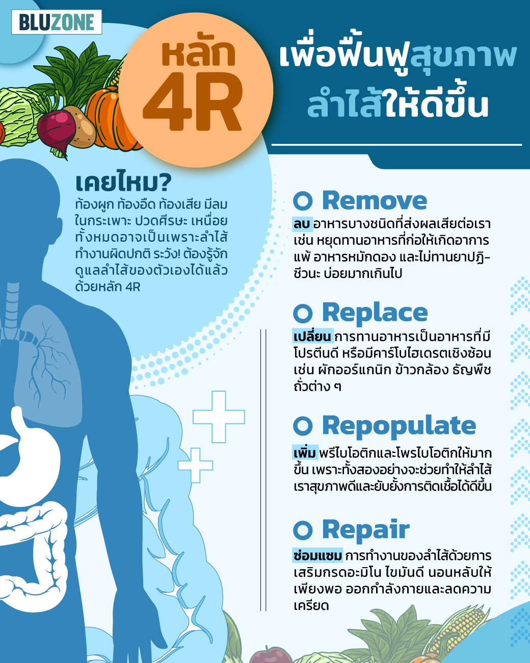 Bluzone - รู้จักกับหลัก “4R”...