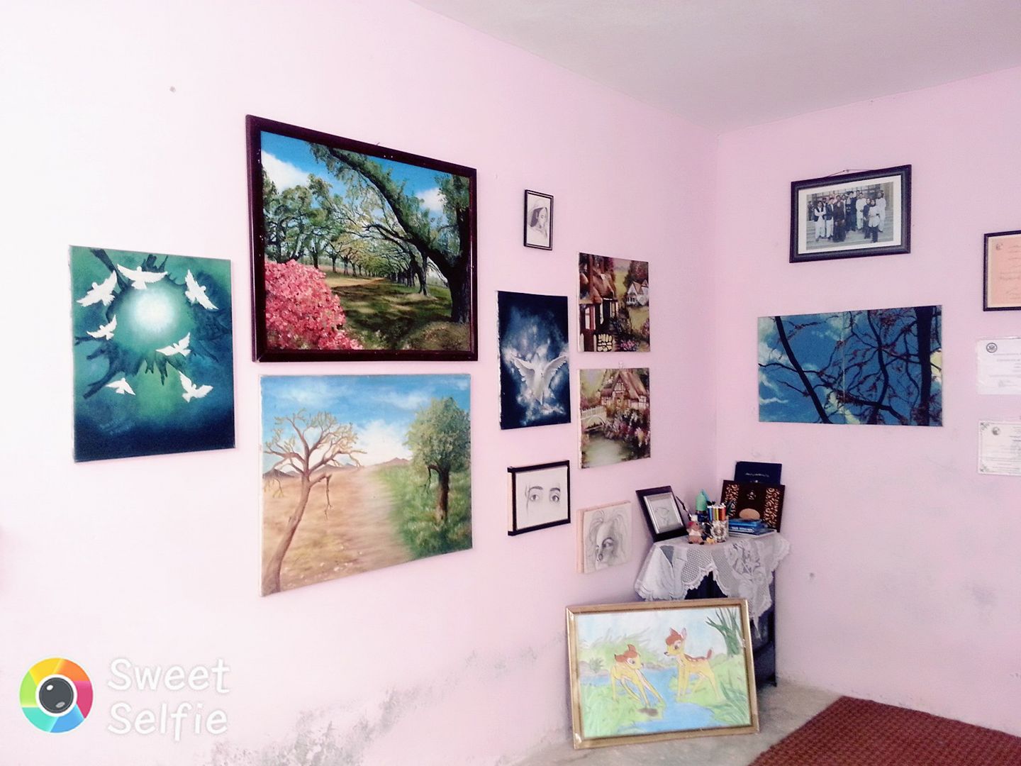 Samira Art's Gallery