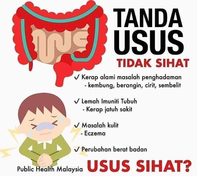 Tips Kurus Sihat By Nini Sayangilah Usus Anda Tabiat Pemakanan Yang Buruk Seperti Pengambilan Makanan Bergoreng Berlemak Dan Berminyak Dan Minuman2 Manis Sejak Kecil Menyebabkan Kesihatan Usus Terjejas Kenapa Penting Penjagaan